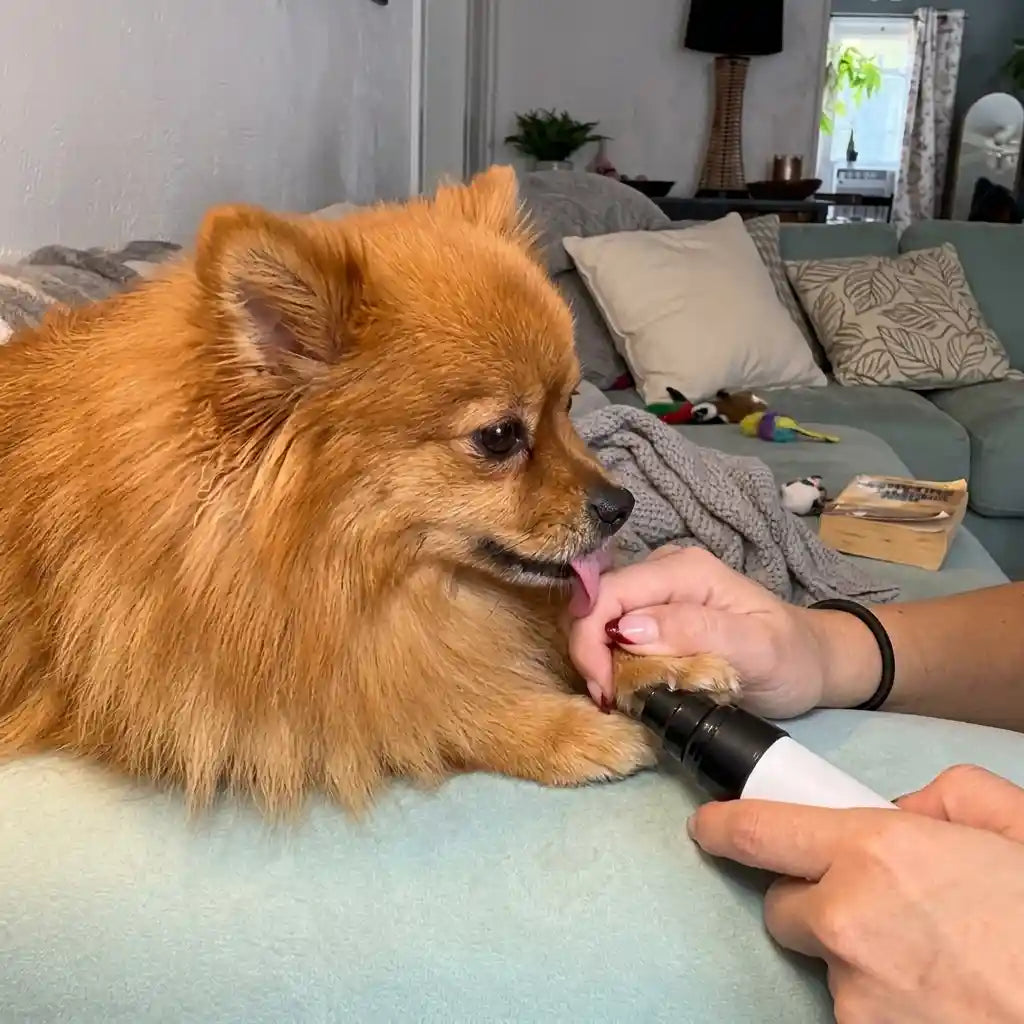 PawSmooth